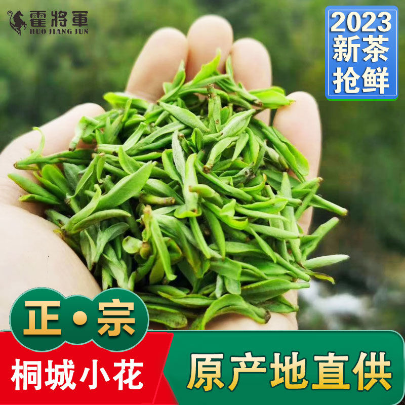 黄茶正宗霍山黄芽2024新茶500g茶叶散装茶农直销雨前春茶家庭包邮