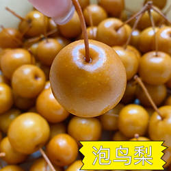 潮汕特产腌制咸水鸟梨沙梨小黄梨泡鸟梨咸梨脆甜腌梨