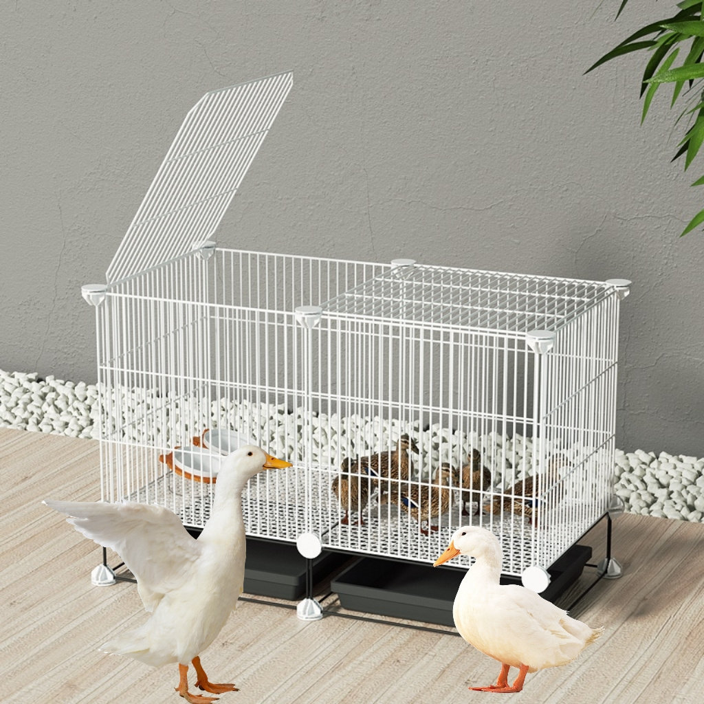 鸭笼子家用室内柯尔鸭宠物养鸭子的笼子养殖笼特大鸡笼子鸡鸭鹅