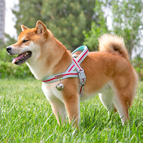 莘语果背心式狗狗胸背带