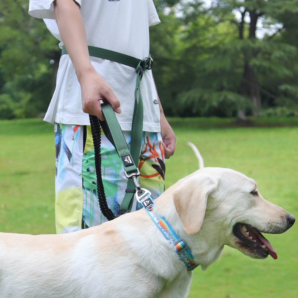 狗狗牵引绳多功能牵引绳高弹力缓冲绳外出遛狗绳子防爆冲单独绳子