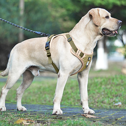 狗狗牵引绳中大型犬背心式防爆冲胸背带拉布拉多金毛大狗遛狗绳子