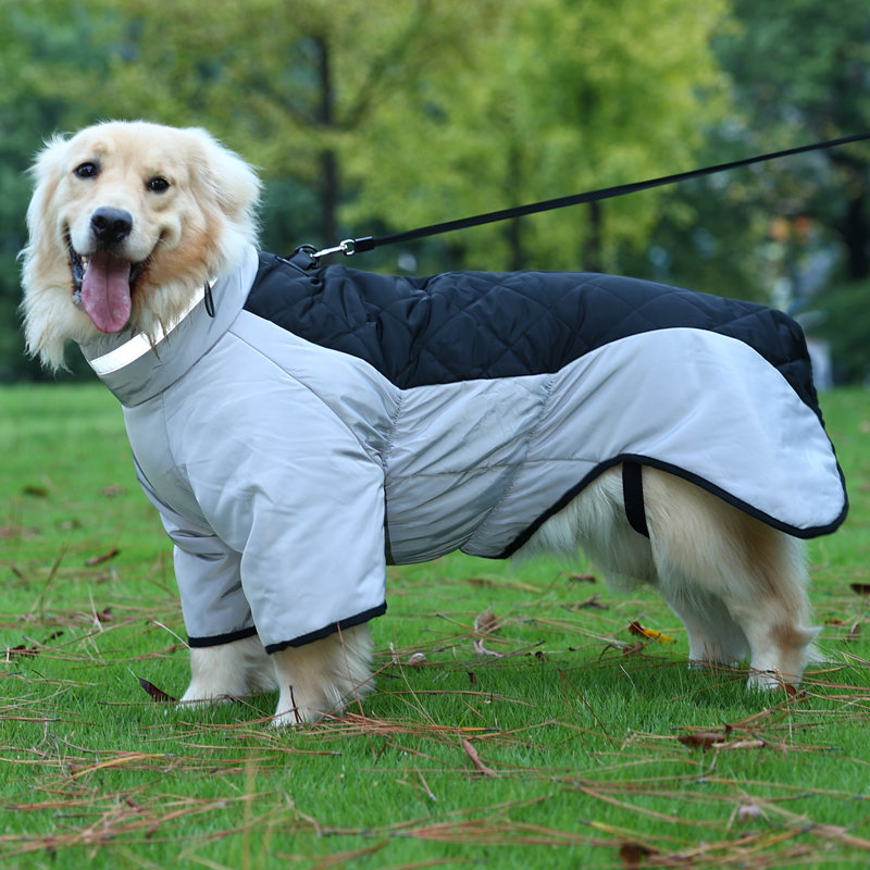 狗狗衣服冬装加厚金毛棉衣边牧保暖衣中大型犬宠物冬季可牵引棉服