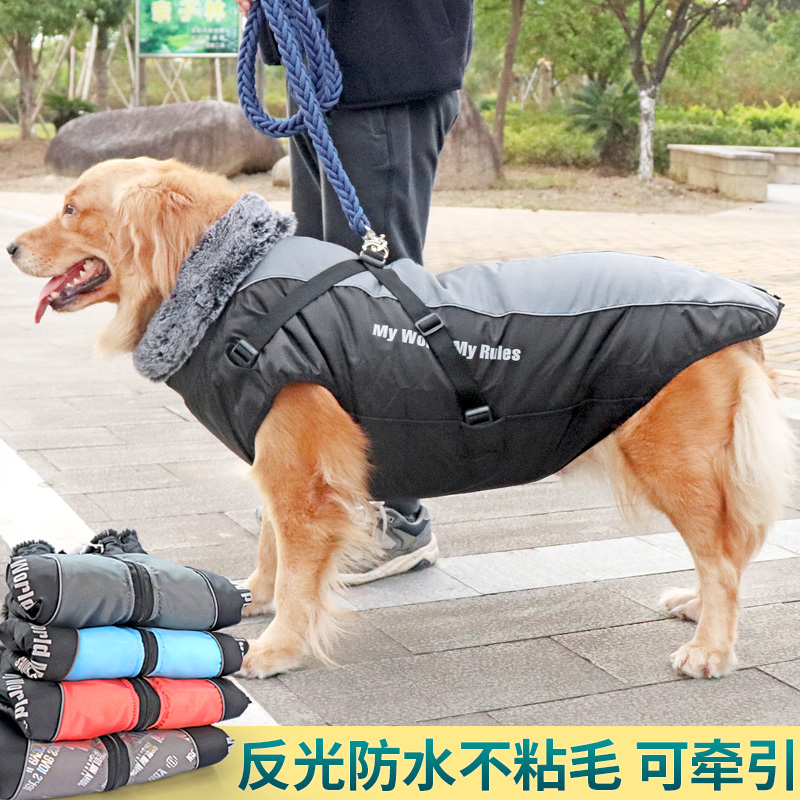 狗狗边牧拉布拉多冬款中大型犬