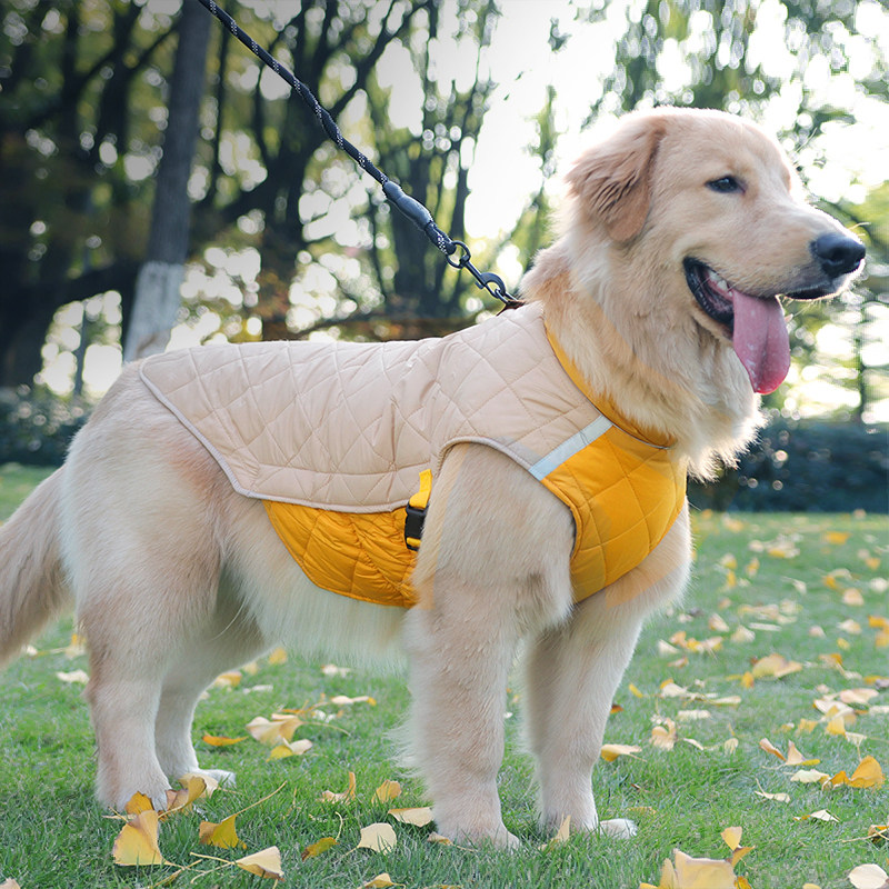 狗衣服秋冬款金毛拉布拉多中大型犬狗棉衣宠物保暖棉马甲冬天冬季,宠物/宠物食品及用品,狗宠物服装/雨衣,淘宝优惠券,粉丝福利购,淘宝优惠卷