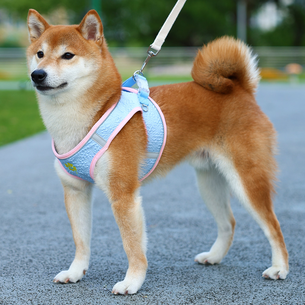 狗狗牵引绳胸背带背心式溜遛狗绳柴犬中型小型犬牵狗绳子外出专用