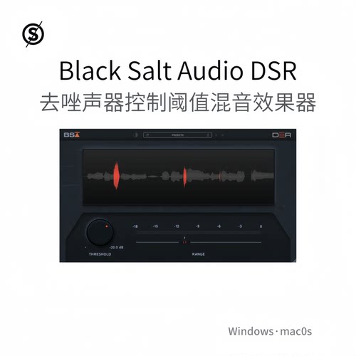 Black Salt Audio DSR 去咝声器插件 控制 阈值 混音效果器Pc/Mac