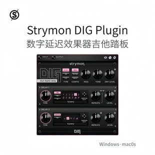 Strymon DIG Plugin 数字延迟插件 吉他踏板效果器 Win/Mac