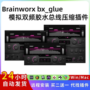 模擬 Mac Brainworx 插件聯盟 總線 壓縮器Win 膠水 bx_glue 雙頻