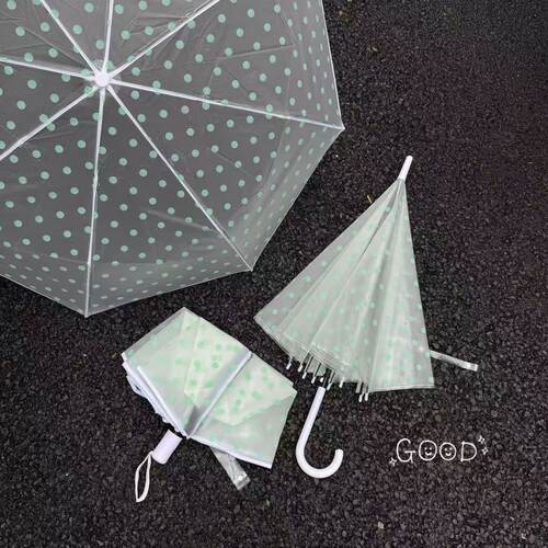 波点雨伞磨砂半透明韩系