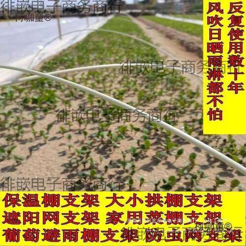 1000根拱棚大小支架保温棚菜棚花棚玻璃纤维杆蔬菜拱竿农用