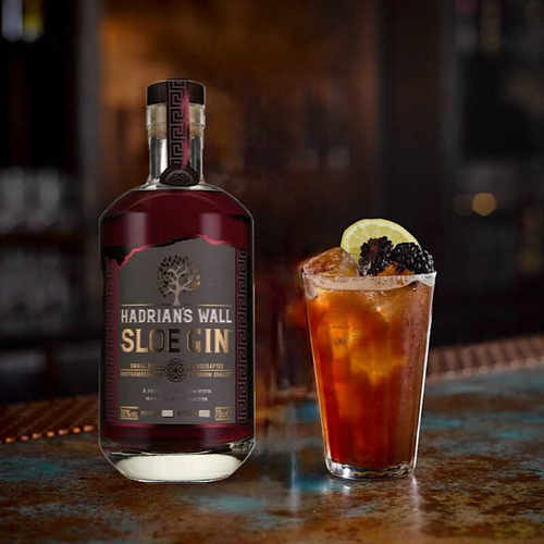 英国哈德良斯洛金酒SLOEGIN