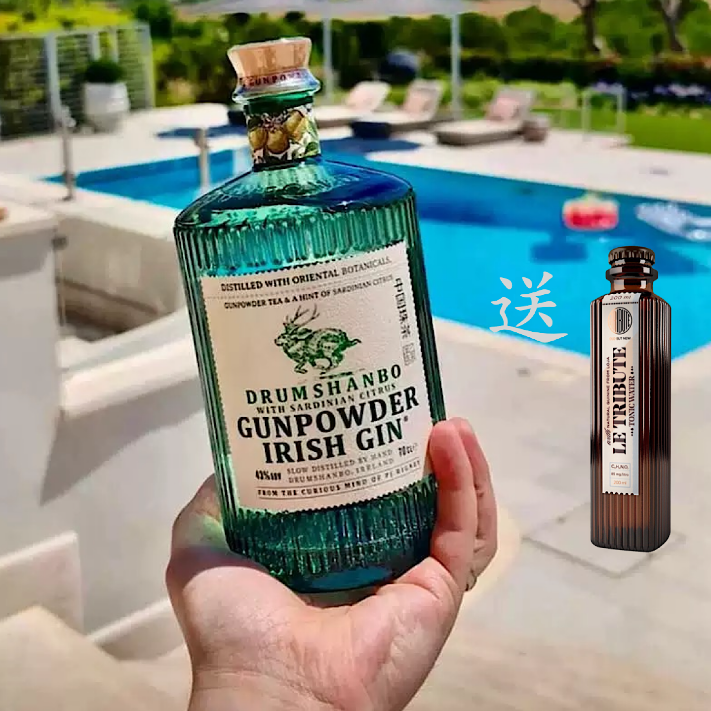 爱尔兰鹿角兔撒丁岛柑橘金酒小众