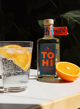 爱沙尼亚进口TOHI NORDIC DRY GIN魔法浆果北欧野生云莓 涛凯金酒