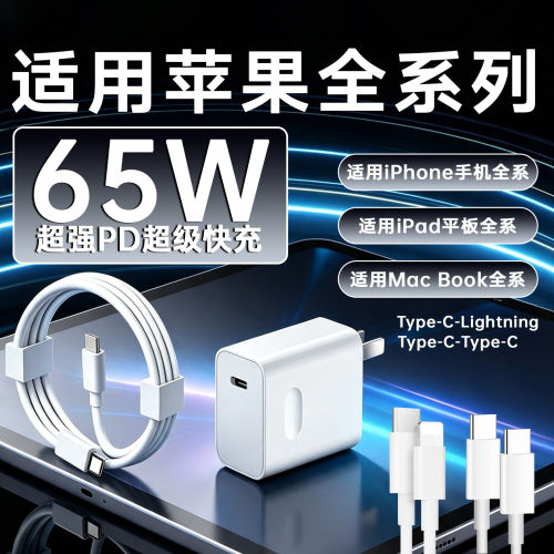 适用苹果iPad Pro Air 65WPD快充头10.2/11/12.9寸2022 23 24 25版平板iPhone17/16/15/14/13 Pro Max充电器