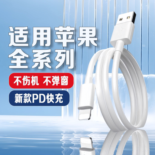 适用iPhone苹果数据线快充苹果iPad9/8/7/6充电线苹果11 12 13 14Pro快充线USB口iPad Air2 3平板mini充电线