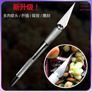 多肉植物砍头刀嫁接刀扦插多肉工具十二卷分株专用水仙雕刻刀园艺