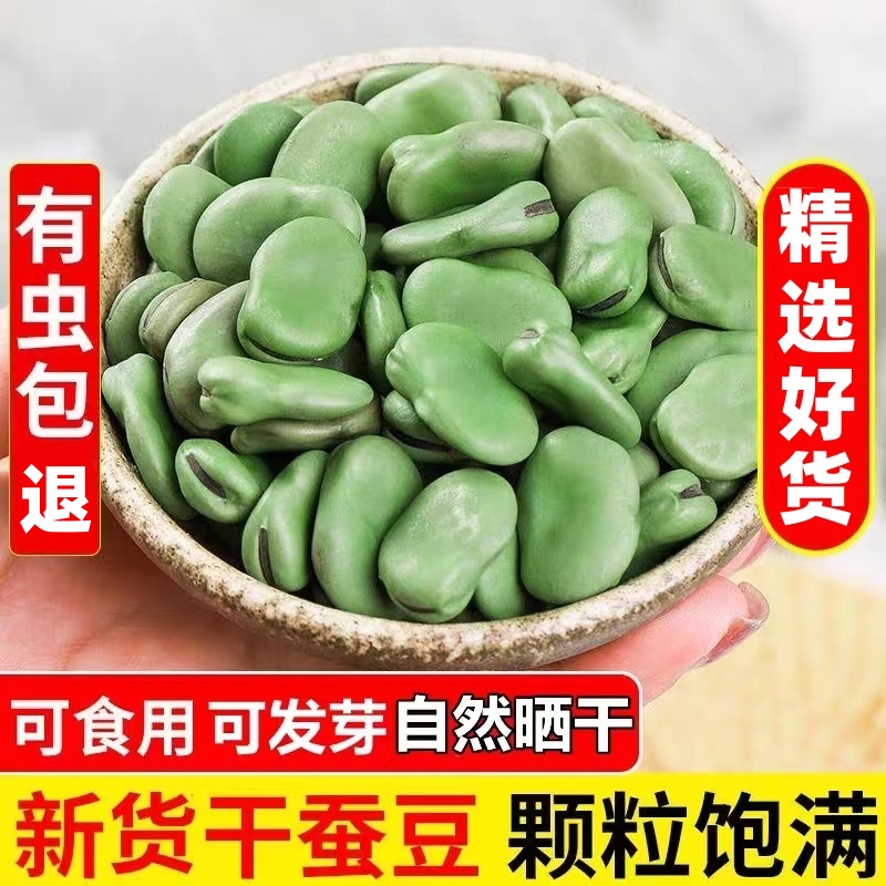 新货5斤绿皮干蚕豆可食用可发芽