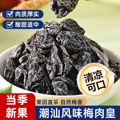 潮汕风味梅肉皇肉厚无核当季新果
