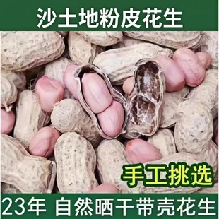 生花生带壳2023年粉红皮花生米生新鲜晒干种子原味散装 生花生5斤