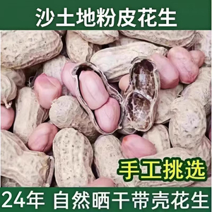 生花生带壳2024年粉红皮花生米生新鲜晒干种子原味散装生花生5斤