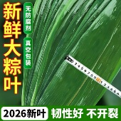 粽叶新鲜粽子叶大号老式 野生干粽叶商用批发专用广西节庆备货必备