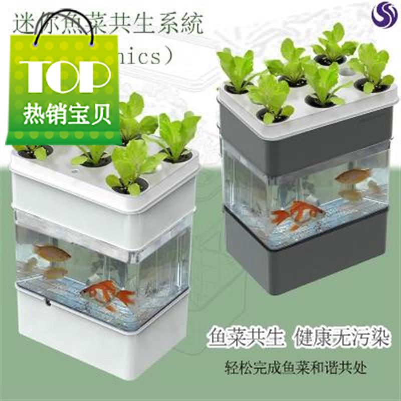 鱼菜c共生系统阳台鱼菜共生种植床鱼菜共生鱼缸系统鱼菜共生陶粒|msdalam kategori haiwan peliharaan/makanan haiwan dan bekalan, Aquarium World, tangki ikan akuarium dan kelengkapan lain, tangki ikan/akuarium - dari Buy2taobao.com untuk memberikan perkhidmatan ejen Taobao profesional membeli