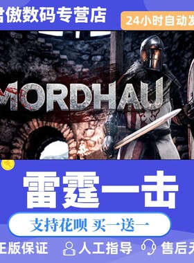 正版雷霆君傲数码steam