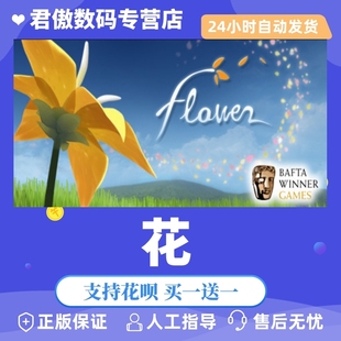 PC正版 君傲数码 游戏 Flower 花 Steam