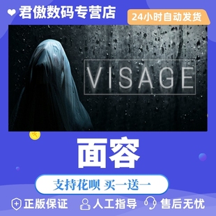 Steam PC正版 游戏 面容 Visage 君傲数码