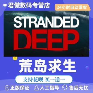Steam PC正版 游戏 荒岛求生 Stranded Deep 全新成品号