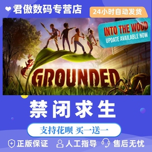 team PC正版 游戏 禁闭求生 Grounded 生存 多人 君傲数码
