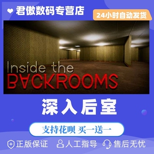 成品号 后室攻略 恐怖 Inside 游戏 The Backrooms Steam 国区礼物 暗室 PC正版