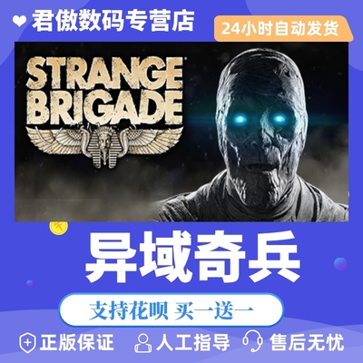 正版异域奇兵君傲数码steam