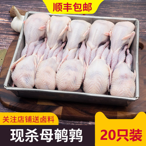 新鲜大母鹌鹑肉冷冻鹌鹑白条现杀活体炖汤红烧油炸烧烤生骨肉20只 - 封面