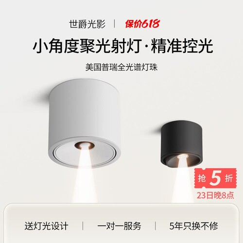 迷你小角度聚光led射灯