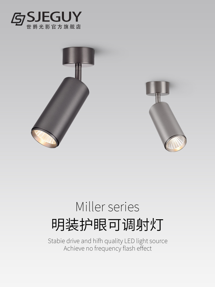 Led表面安装可调角度聚光灯不锈钢中世纪风格餐厅入口背景可调角