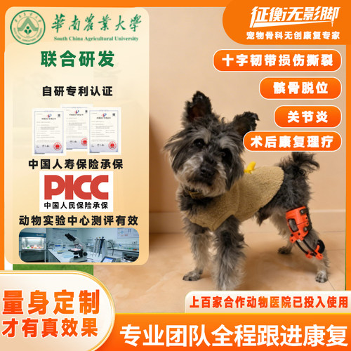 定制狗十字韧带撕裂髌骨脱位护具