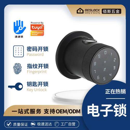 现货厂家直供现货铝合金智能锁亚马逊外电子密码贸锁指纹锁