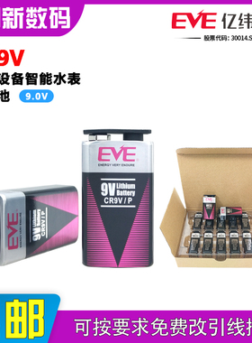 亿纬CP9V工控设备智能水表探测器报警器体温枪玩具锂锰电池方块9V