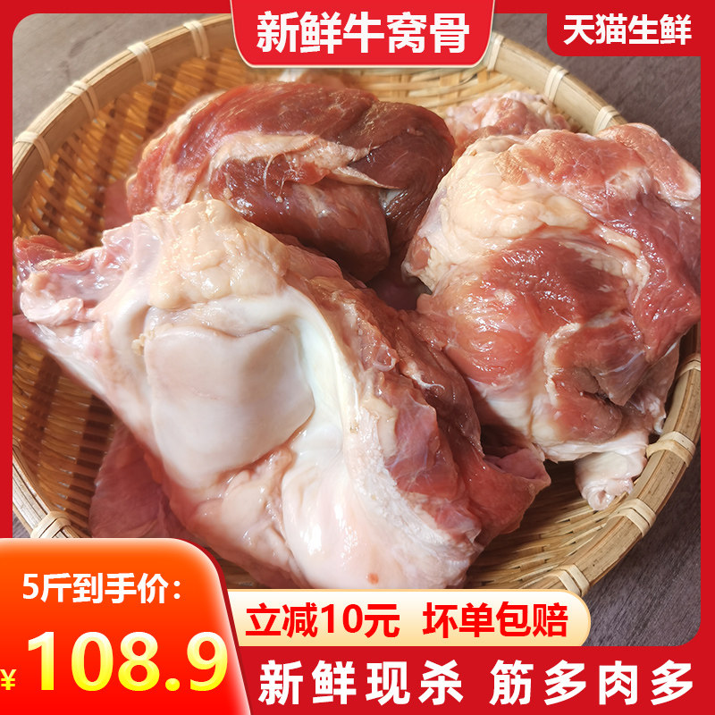 带肉牛膝盖骨新鲜牛大骨牛骨头网红吃播黄牛牛窝骨2500g5斤装包邮