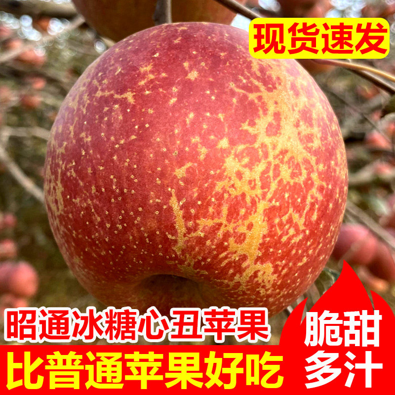 云南昭通冰糖心丑苹果10斤水果新鲜当季整箱红富士苹果包邮脆甜属于什么档次？