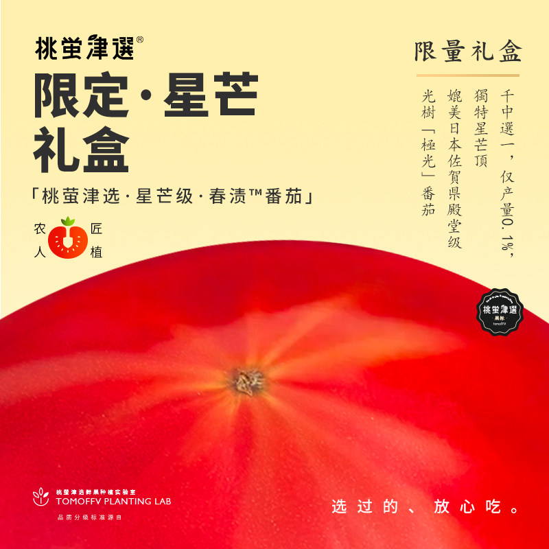 桃萤津选「限定·星芒」春渍™番茄 高鲜浓醇 千中选一 臻选木盒