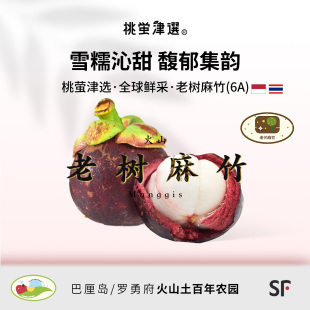 桃萤津选 火山老树麻竹 泰国罗勇府山地50年山竹·6A级礼盒SF空运