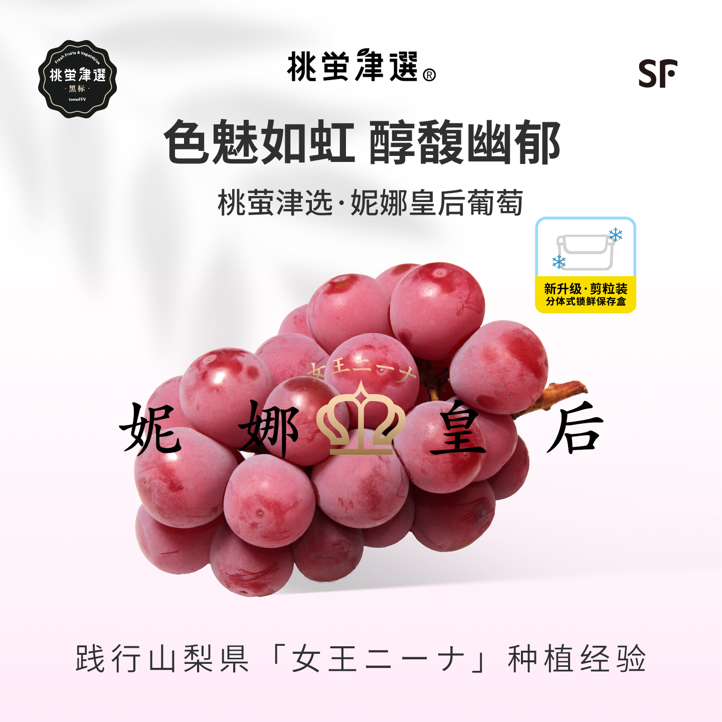 桃萤津选 妮娜皇后葡萄 日引红提 红河日光温室产 剪粒礼盒装 SF