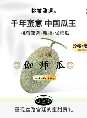 中国瓜王！新疆伽师瓜礼盒装