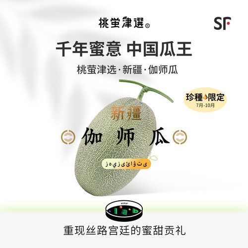 中国瓜王！新疆伽师瓜礼盒装