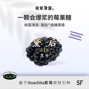 桃萤津选 黛后™高糖黑莓 梦幻甜感 美国OFC奖黑莓引种 礼盒装 SF