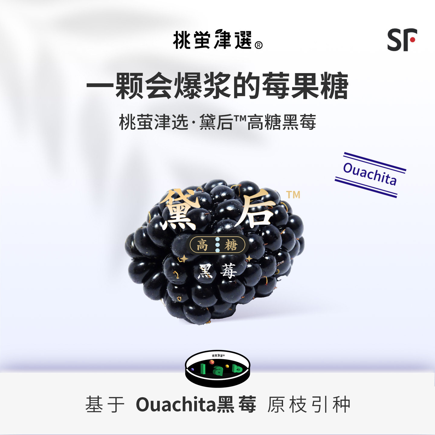 桃萤津选 黛后™高糖黑莓 梦幻甜感 美国OFC奖黑莓引种 礼盒装 SF - 实物图