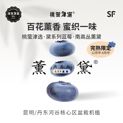 限定品种！薰黛L25蓝莓礼盒装